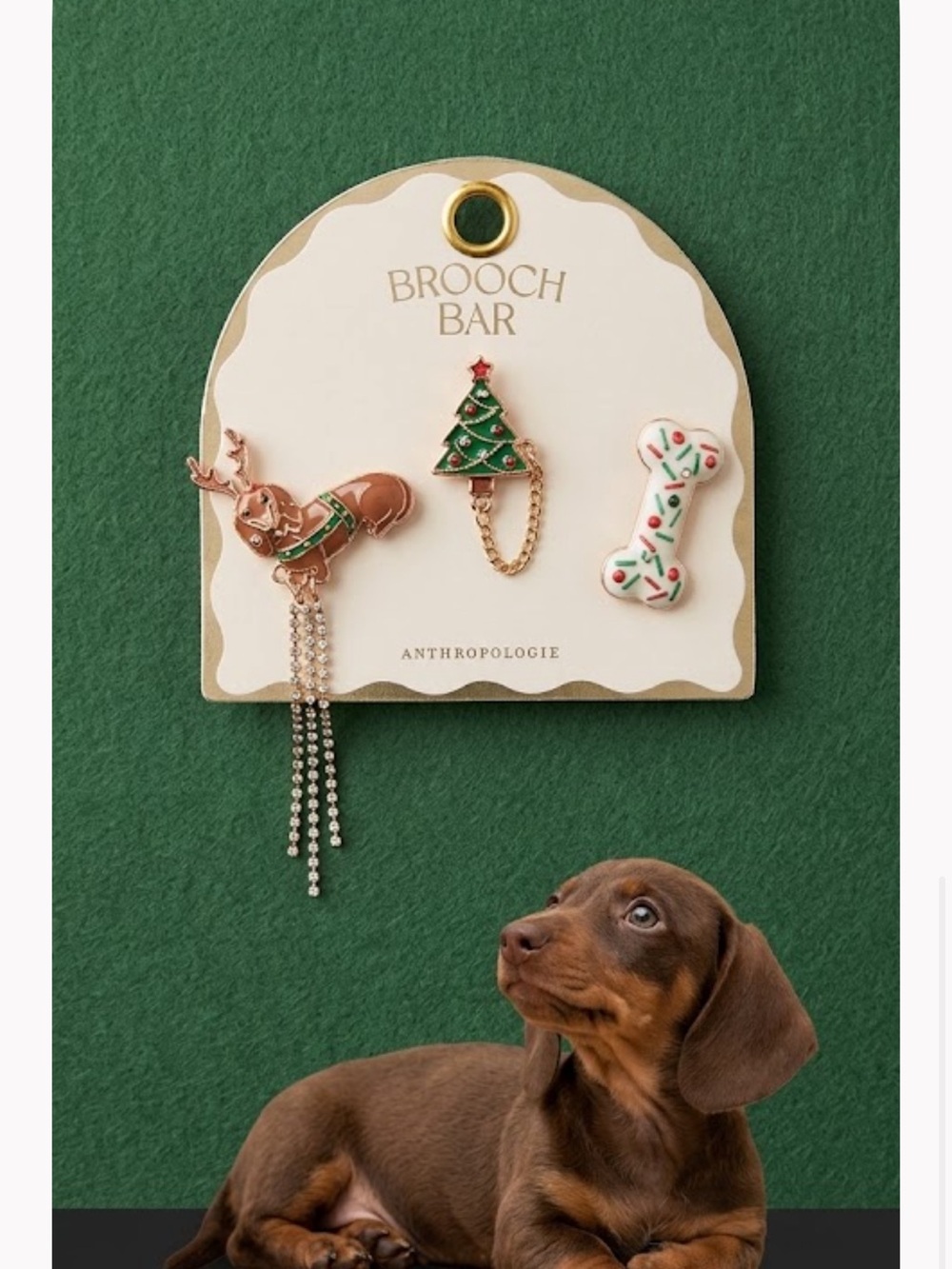 NWTAnthropologie Brown, Red, Green & White Holiday Brooch Set daschund bone pins